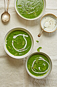 Cream of green vegetable soup