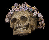 Skull with a wreath of myrtle flowers