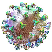 HIV particle, illustration