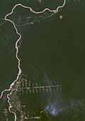 Deforestation in Rondonia, Brazil in 1984, satellite image