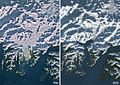 Columbia Glacier, USA, in 1986 and 2022, satellite image