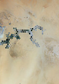 Koufra oasis, Libya, in 1984, satellite image