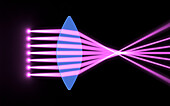 Light passing through a biconvex lens, illustration