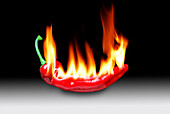 Red chilli on fire, illustration