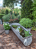 Alte Zinkbadewanne als Mini-Teich im Garten, umgeben von Pflanzen