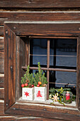 Window decorated for Christmas with fir tree decoration and candle