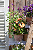 Blumenarrangement auf Holzregal im sommerlichen Garten