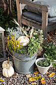 Autumnal planting with pumpkins and heather next to seating area in the garden