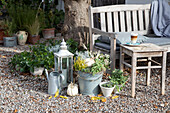 Autumnal seating area with watering can, lantern and pumpkins