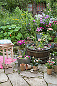 Colorful mini aquatic garden and flower arrangements in a garden