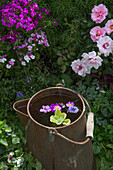 Metal can as a mini pond with flowers surrounded by garden plants