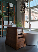 Freestanding bathtub and diving box in modern bathroom with wall bars and plants