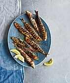 Grilled sardines