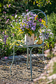 Blumenstrauß aus Raublatt-Astern (Aster novae-angliae),  Myrtenaster (Symphyotrichum ericoides), Goldrute und Gelenkblume in Zinkkanne mit Birnen auf Gartenstuhl