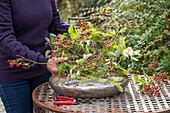Kranz binden aus Baumwürge, Hagebutten der vielblütigen Rose (Rosa multiflora) und Pfaffenhütchen (Euonymus planipes)