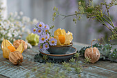 Kapstachelbeeren (Physalis) in Schüssel als Tischdeko mit Aster novi-belgii 'Dauerblau' und Gewürzfenchel (Foeniculum vulgare)