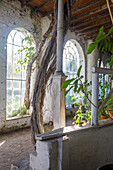 Overgrown greenhouse with high arched windows and climbing plants