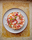 Thunfisch-Pizzetta mit Radieschen