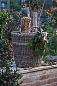 Advent arrangement with fir branch of hemlock, holly (Ilex meserveae) 'Blue Maid' and cones on wicker basket