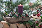 Advent arrangement with branches of hemlock, holly (Ilex meserveae) 'Blue Maid' and candle on wooden pile
