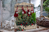 Selbstgebastelter Adventskalender dekoriert mit Stechpalme (Ilex meserveae) 'Blue Maid' und 'Argentea Marginata', Scheinzypresse und Thuje, Schaukelpferd