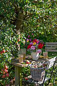 Sitzplatz unter Apfelbaum mit herbstlichen Strauß aus Dahlien (Dahlia), Knöterich (Persicaria), Borretsch und Korb mit Äpfeln