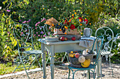 Sitzplatz mit Erntedank Kiste mit Weizen, Trauben, Dahlien, Borretsch, Ringelblume, Salbei, Äpfel und Korb mit Kürbissen  im herbstlichen Garten