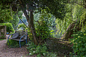 Sitzbereich unter Baum am Flussufer im Sommer