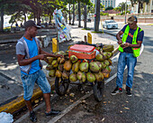 Ein junger haitianischer Einwanderer verkauft frische Kokosnüsse von seinem Wagen aus an einer belebten Straße in Santo Domingo, Dominikanische Republik