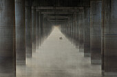 Morning fog under the Interstate 10 highway bridge over the Atchafalaya River in the Atchafalaya Basin in Louisiana.