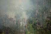Smoke rises from a wildfire in Bogota's eastern mountains , wildfires rose to 5 during January 24, 2024, after hot temperatures and no precipitation was caused by the Nino Phenomena.