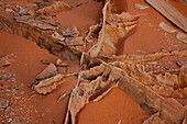 Sehr dünne, zerbrechliche Sandsteinrippen in Navajo-Sandsteinformationen. South Coyote Buttes, Vermilion Cliffs National Monument, Arizona. Geologisch gesehen werden diese Rippen als Verdichtungsbänder bezeichnet.