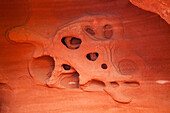 Tafoni or rock lace erosion patterns in the eroded Aztec sandstone of Valley of Fire State Park in Nevada.