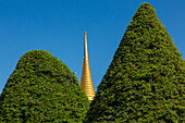 Golden spire of the Phra Sri Rattana Chedi between shaped trees in the Grand Palace complex in Bangkok, Thailand.