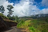 Tief hängende Wolken über Bauernhöfen in den Hügeln bei Constanza in der Dominikanischen Republik. Große Hispanola-Kiefern sind links zu sehen.