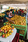 Frauen beim Einkaufen von Mangos auf der Bani Mango Expo in Bani, Dominikanische Republik