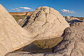 Brain rock reflected in an ephemeral pool in the White Pocket Recreation Area, Vermilion Cliffs National Monument, Arizona. Also known as pillow rock, a form of Navajo sandstone.