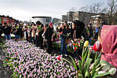 Tausende von Menschen pflückten am 20. Januar 2024 in Amsterdam, Niederlande, während des nationalen Tulpentages auf dem Museumsplatz in der Nähe des Van-Gogh-Museums kostenlos Tulpen. Heute ist der offizielle Beginn der Tulpensaison mit einem speziellen Tulpengarten, in dem die Menschen kostenlos Tulpen pflücken können. In diesem Jahr wird der 12. Jahrestag des von den niederländischen Tulpenzüchtern organisierten Pflückgartens besonders gefeiert. Der Amsterdamer Museumsplatz ist mit rund 200 000 Tulpen gefüllt. Diese Tulpen werden speziell zu einem riesigen temporären Garten arrangiert. Rund