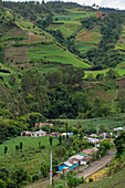 A small village in the agricultural farmland in the hills around Constanza in the Dominican Republic. Most of the vegetables in the country are raised here.