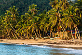 Palmen am Strand in der Nähe von Samana in der Dominikanischen Republik. Fischerboote warten am Sandstrand