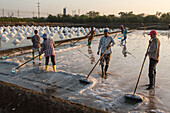 Workers producing salt by traditional methods used for thousands of years at a salt farm in Samut Sakhon,Thailand.