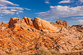 Desert plants and colorful eroded Aztec sandstone formations in Valley of Fire State Park in Nevada.