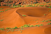 Rote Sanddünen im Monument Valley Navajo Tribal Park in Arizona