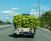 Ein alter, überladener Bananentransporter auf der Landstraße bei Bani in der Dominikanischen Republik