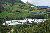 Ackerland und Gewächshäuser in den Hügeln um Constanza in der Dominikanischen Republik. Das meiste Gemüse des Landes wird hier angebaut.