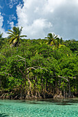 Clear waters of Cano Frio lined by mangroves on the Samana Peninsula, Dominican Republic.