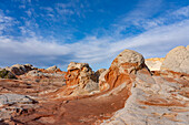 Erodierter weißer Pillow Rock oder Brain Rock Sandstein in der White Pocket Recreation Area, Vermilion Cliffs National Monument, Arizona. Sowohl der rote als auch der weiße Sandstein sind Navajo-Sandstein, aber der rote hat mehr Eisenoxidanteil