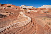 Erodierte Navajo-Sandsteinformationen in der White Pocket Recreation Area, Vermilion Cliffs National Monument, Arizona