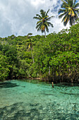 Clear waters of Cano Frio lined by mangroves on the Samana Peninsula, Dominican Republic.