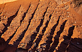 Sehr dünne, zerbrechliche Sandsteinrippen in Navajo-Sandsteinformationen. South Coyote Buttes, Vermilion Cliffs National Monument, Arizona. Geologisch gesehen werden diese Rippen als Verdichtungsbänder bezeichnet.